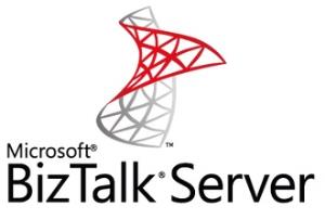 Biztalk Server Standard - Single Language - Software Assurance - Open Value 2lic No Level - 1 Year Acquired Year 2 Ap Core Lic